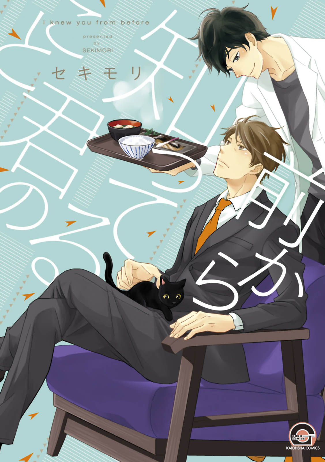 Mae Kara Shitteru Kimi no Koto manga cover