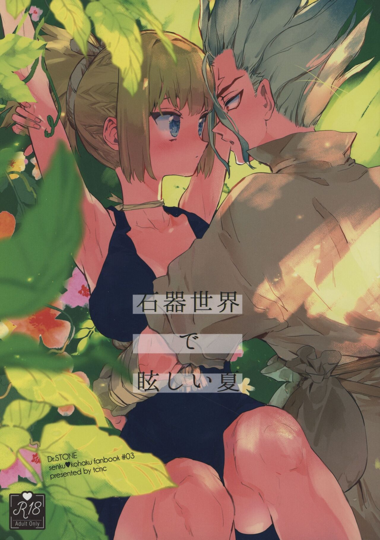 Dr.STONE - Sekki Sekai de Mabushii Natsu (Doujinshi) manga cover