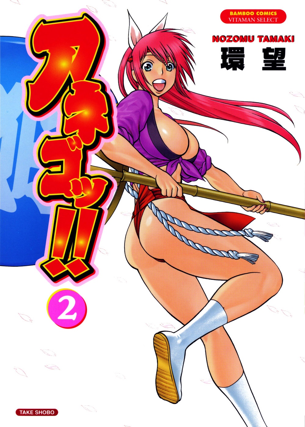 Anego!! manga cover