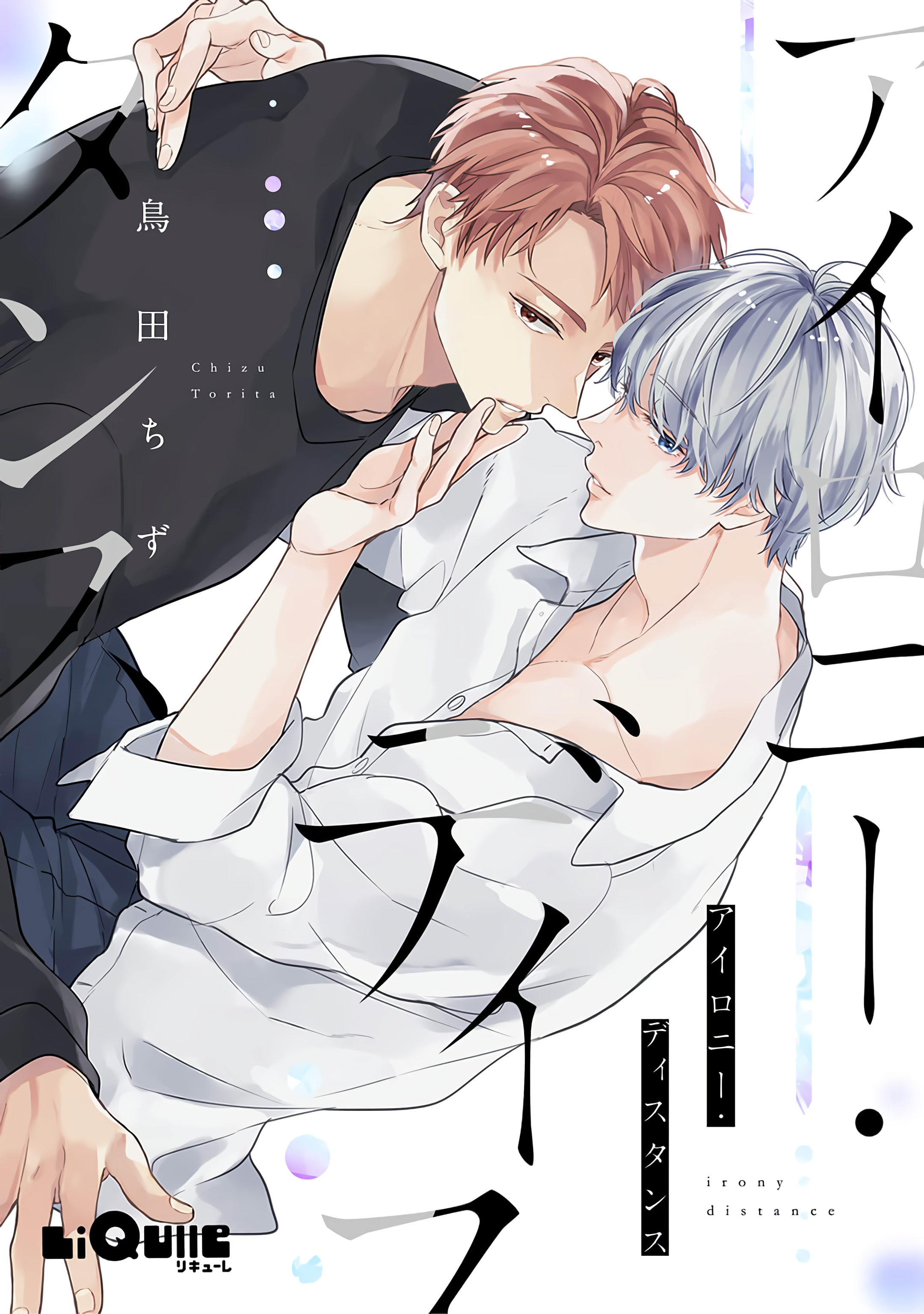 Irony Distance manga cover