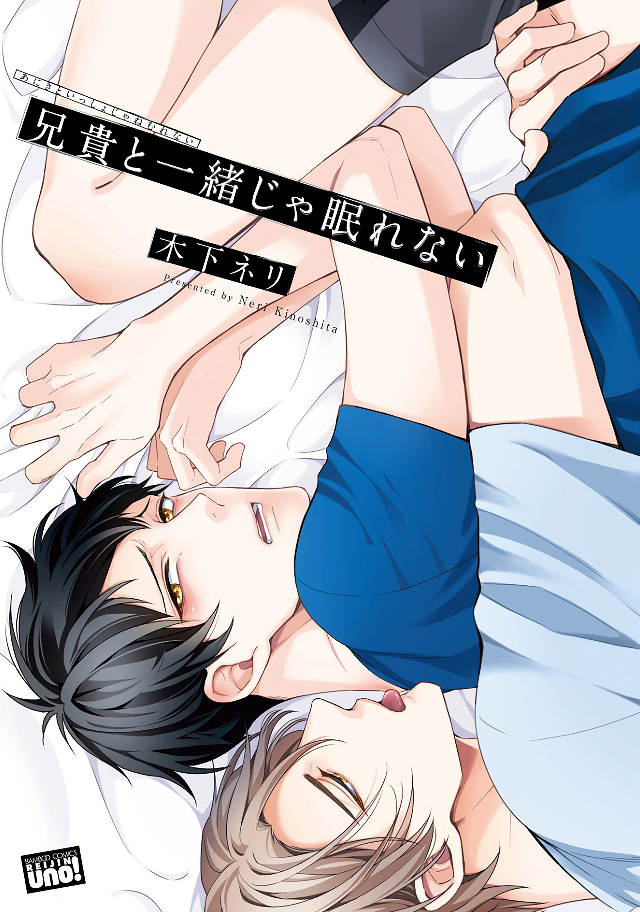 Aniki to Isshoja Nemurenai manga cover