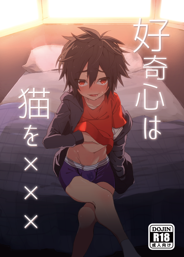 Big Hero 6 - Koukishin wa Neko o XXX (Doujinshi) manga cover