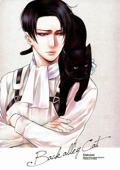 Attack on Titan - Back Alley Cat (Doujinshi) manga cover