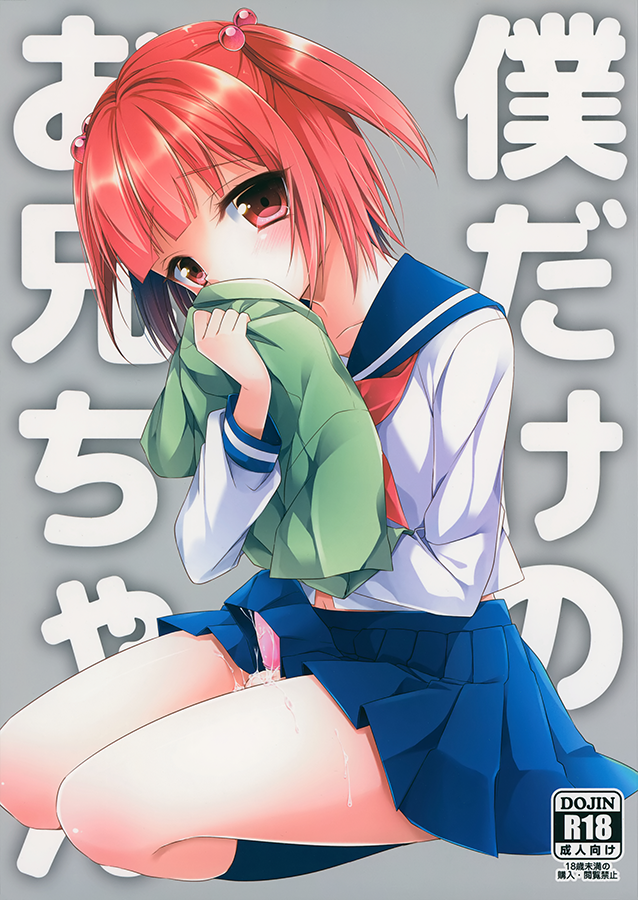 Boku dake no Oniichan manga cover