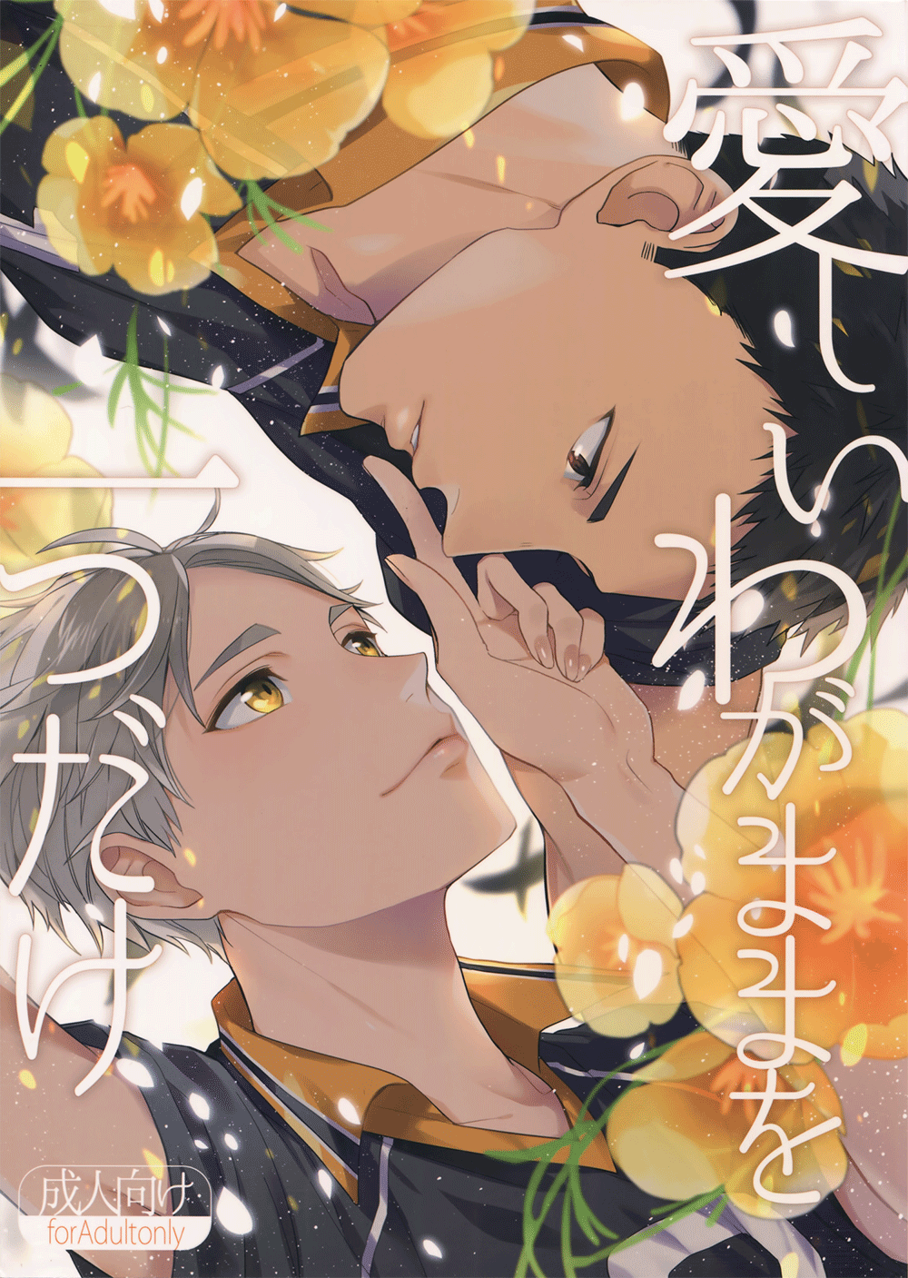 Haikyu!! - Itoshii Wagamama o Hitotsu Dake (Doujinshi) manga cover