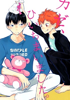 Haikyuu!! - I Seem To Have Caught A Cold (Doujinshi) manga cover