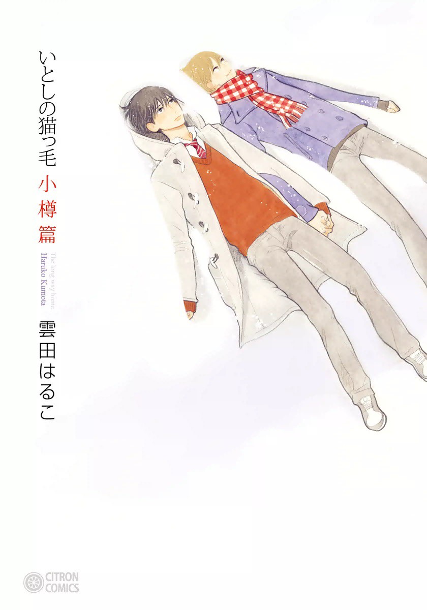 Itoshi no Nekokke: Otaru-hen manga cover