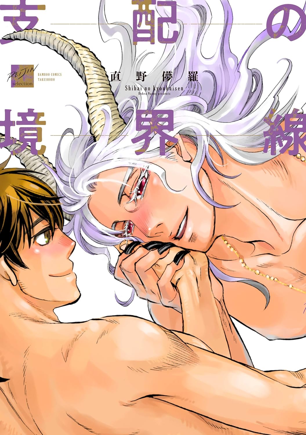 Shihai no Kyoukaisen manga cover