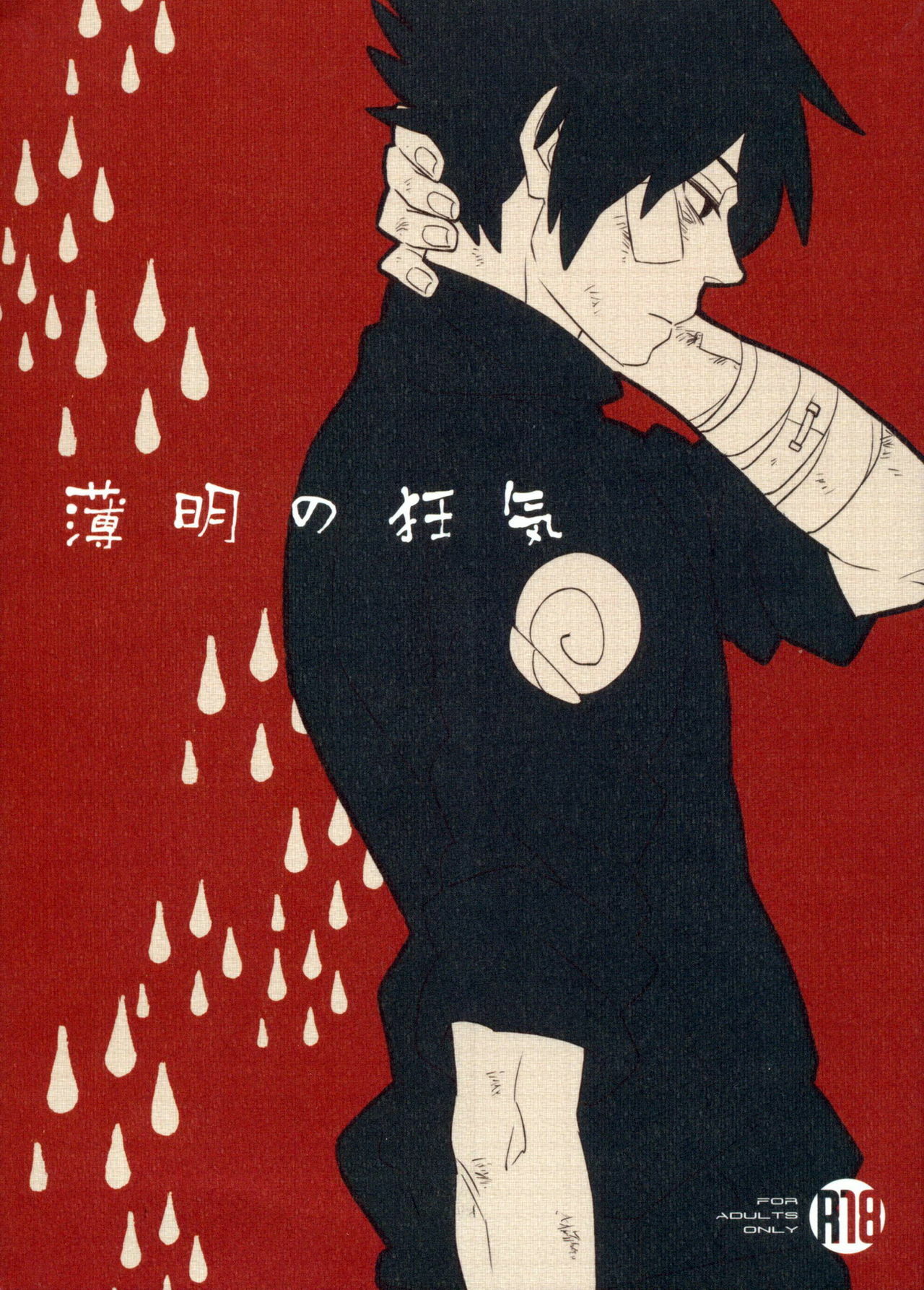 Naruto - Twilights Insanity (Doujinshi) manga cover