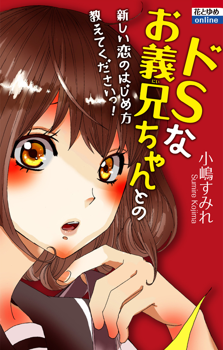 Do S na Oniichan to no Atarashii Koi no Hajimekata Oshiete Kudasai! manga cover