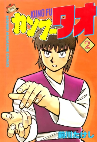 Kung Fu Tao manga cover