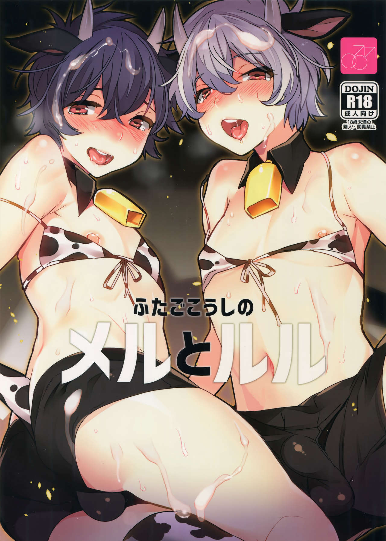 Futago Koushi no Meru to Ruru manga cover