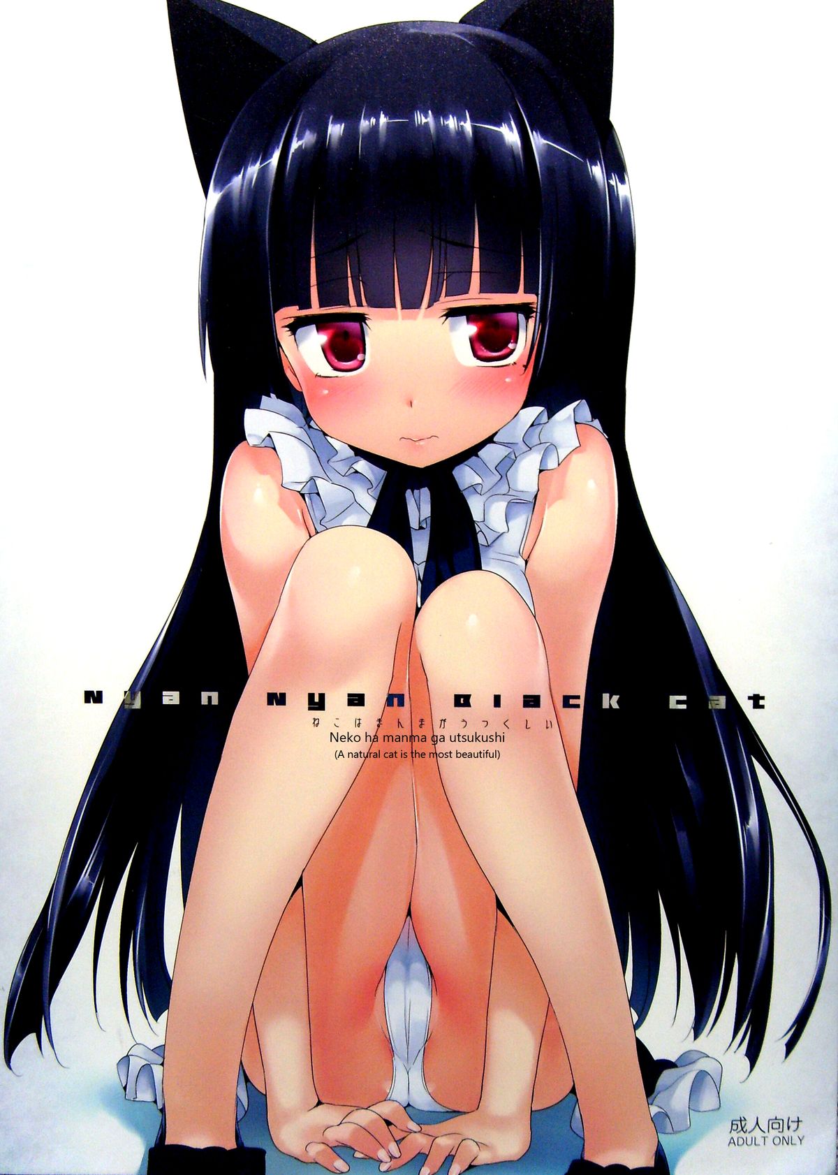 Ore no Imouto ga Konna ni Kawaii Wake ga Nai - Nyan Nyan Black Cat (Doujinshi) manga cover