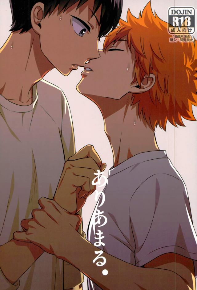 Haikyuu!! - Ariamaru (Doujinshi) manga cover