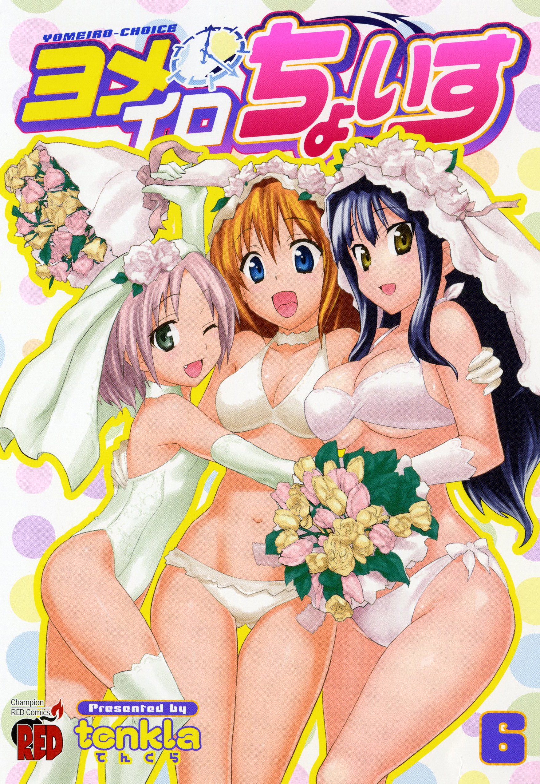 Yomeiro Choice manga cover