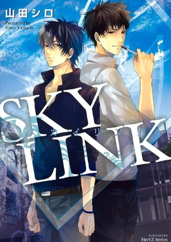 Sky Link manga cover