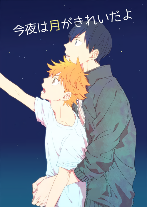 Haikyu!! - The Moon Is Beautiful Tonight (Doujinshi) manga cover