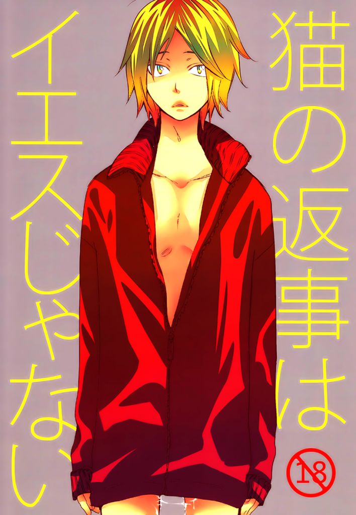 Haikyu!! - Neko no Henji wa Yes Janai (Doujinshi) manga cover