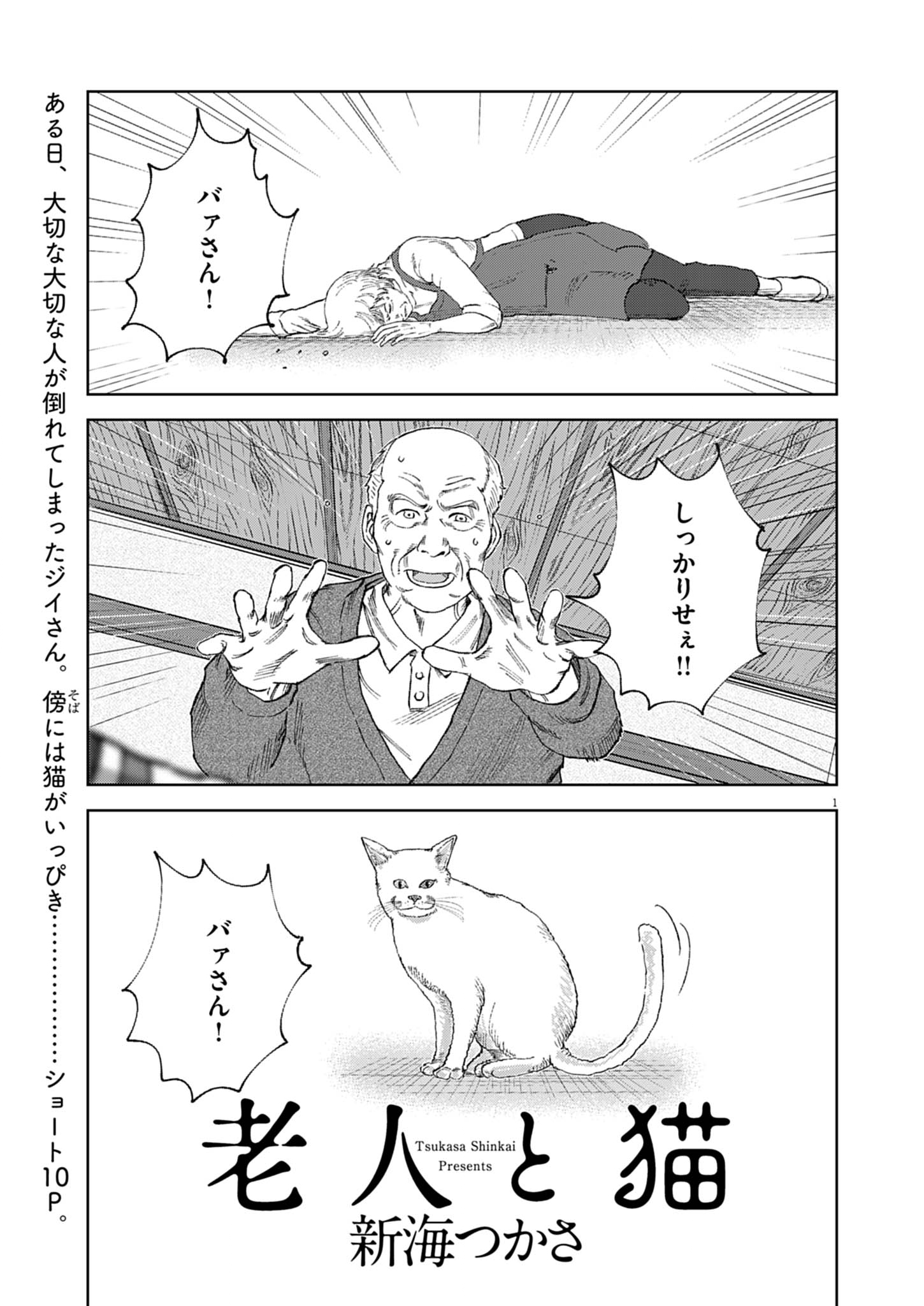 Old man and the cat manga cover