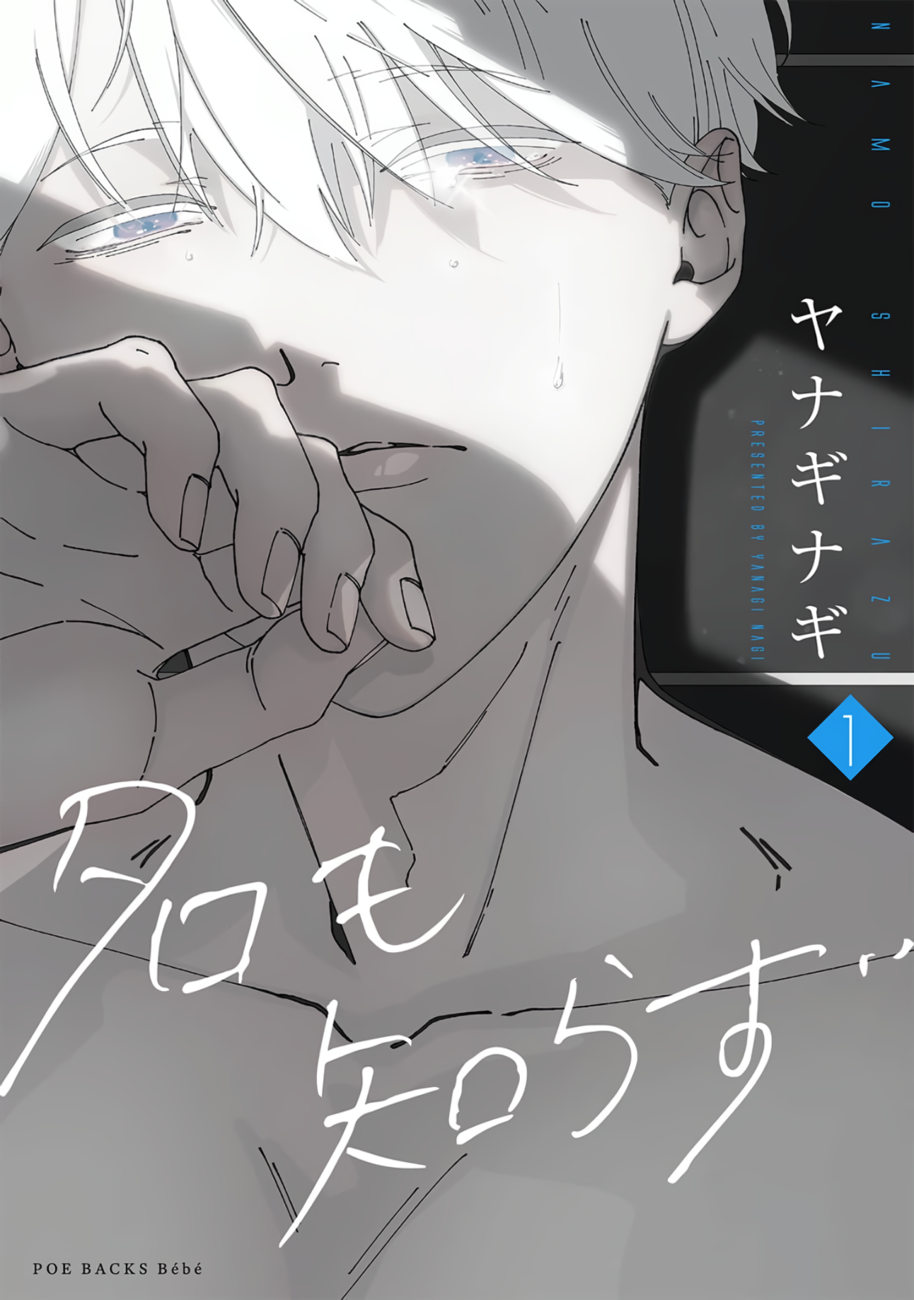 Namo Shirazu manga cover