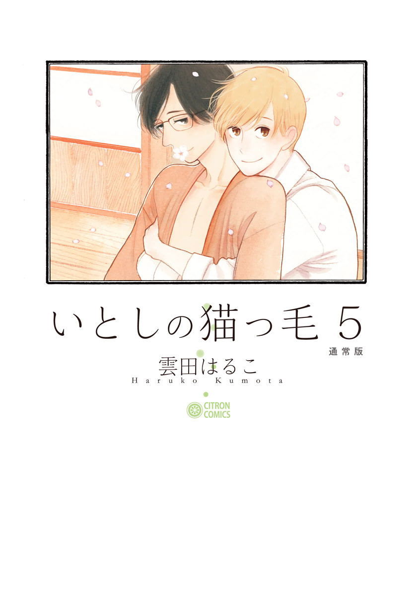 Itoshi no Nekokke manga cover