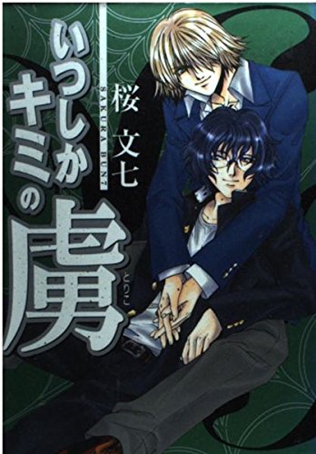 Itsushika Kimi no Toriko manga cover