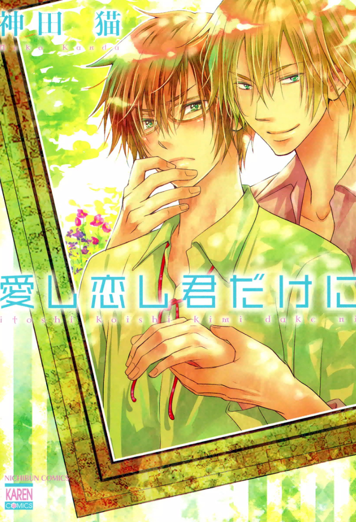 Itoshi Koishi Kimi Dake ni manga cover