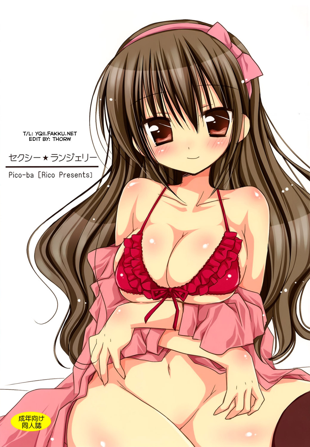 Sexy Lingerie manga cover