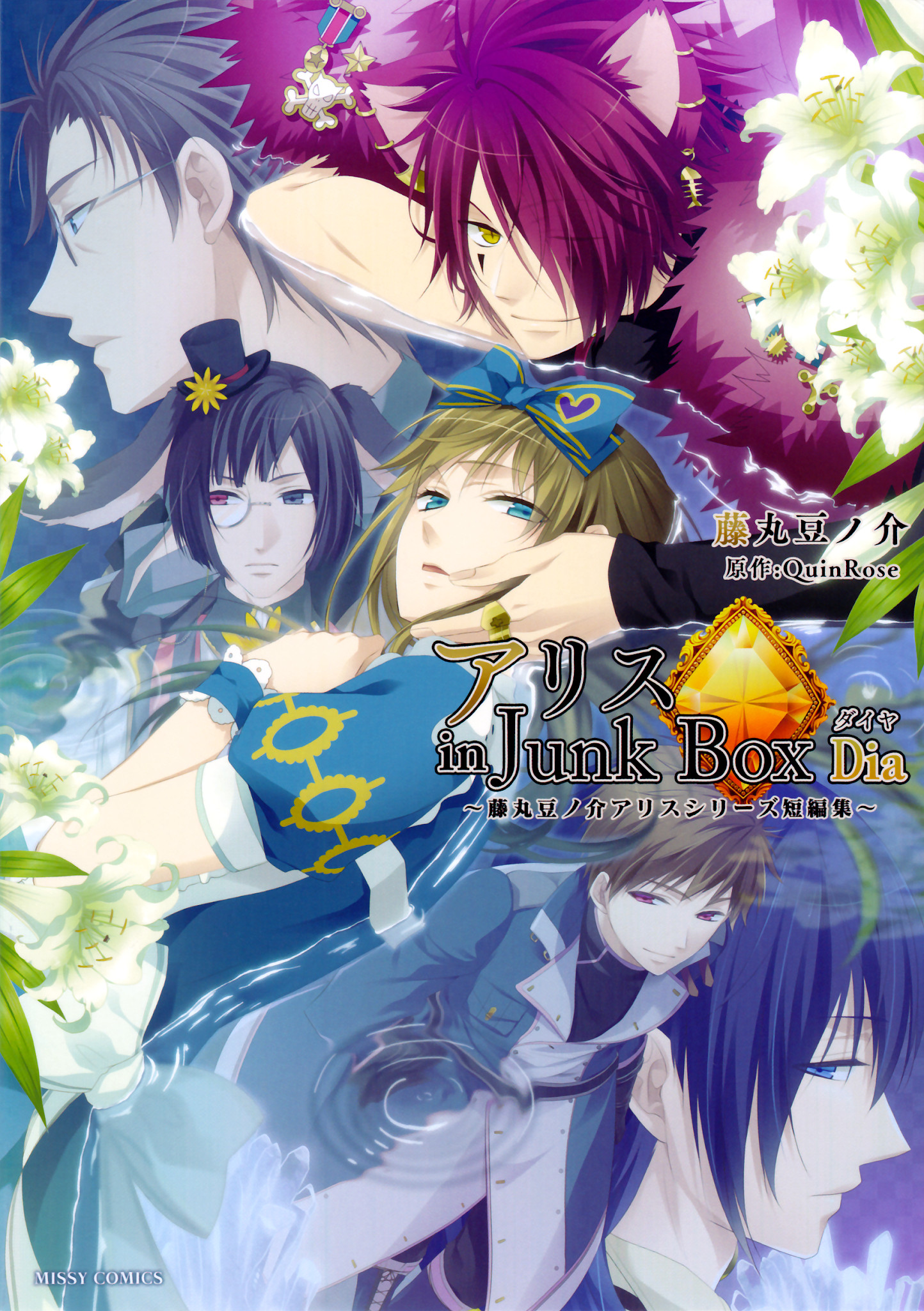 Alice in Junk Box  ~Dia~ manga cover