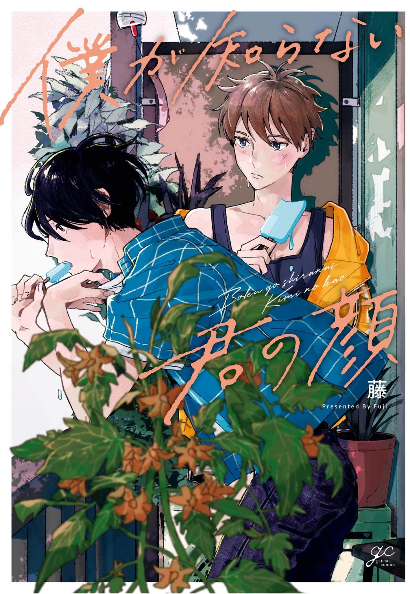 Boku ga Shiranai Kimi no Kao manga cover