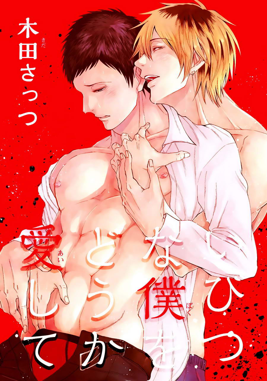 Ibitsu na Boku wo Douka Aishite manga cover