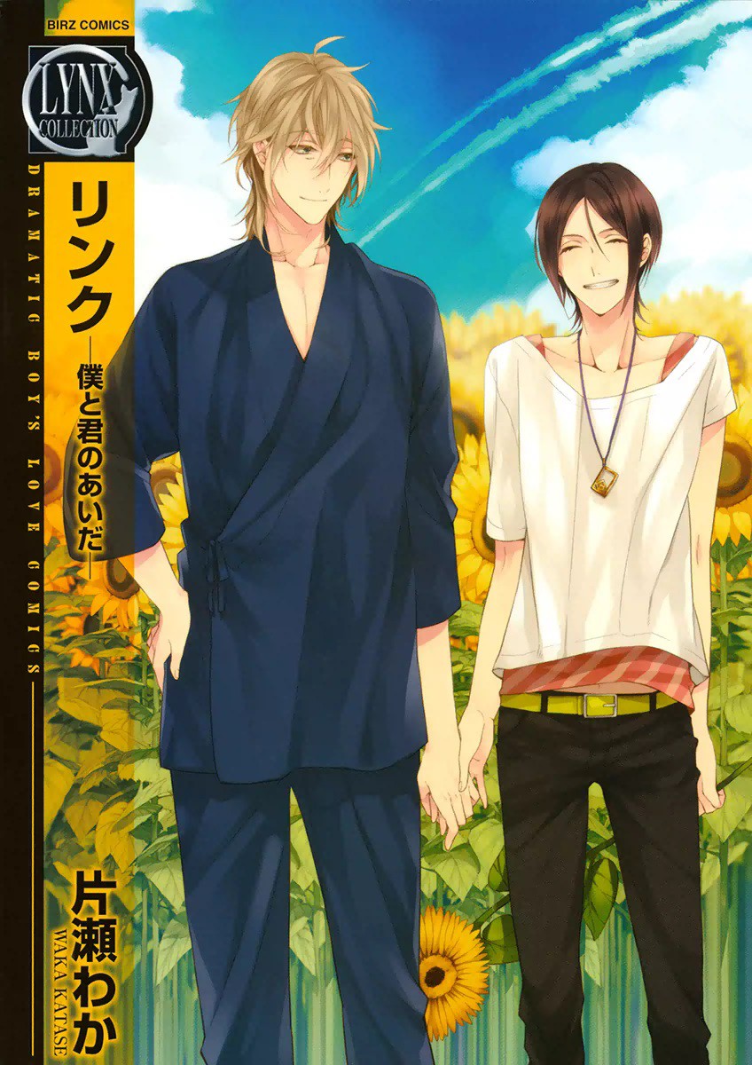 Link ~Boku to Kimi no Aida~ manga cover