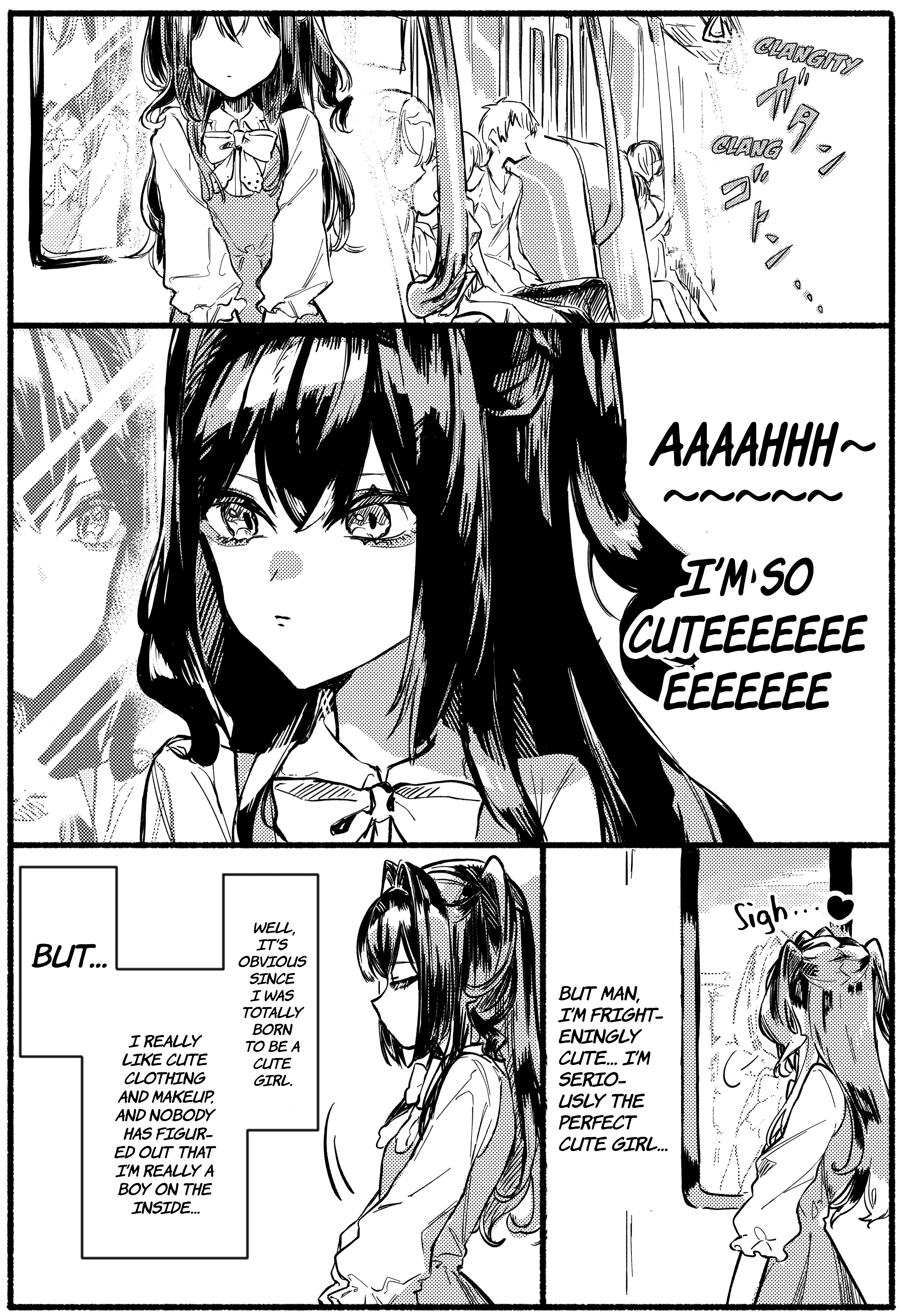Crossdressing Boy Riri-chan and Childhood Friend Megu-chan manga cover