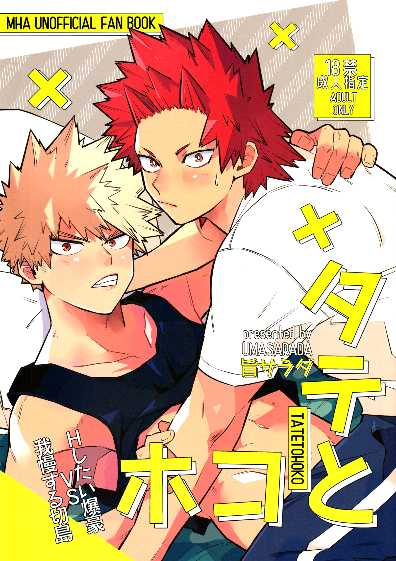 Boku no Hero Academia - Tate to Hoko (Doujinshi) manga cover