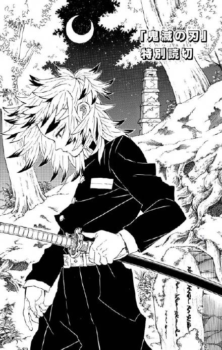 Demon Slayer: Kimetsu no Yaiba Special One-Shot manga cover
