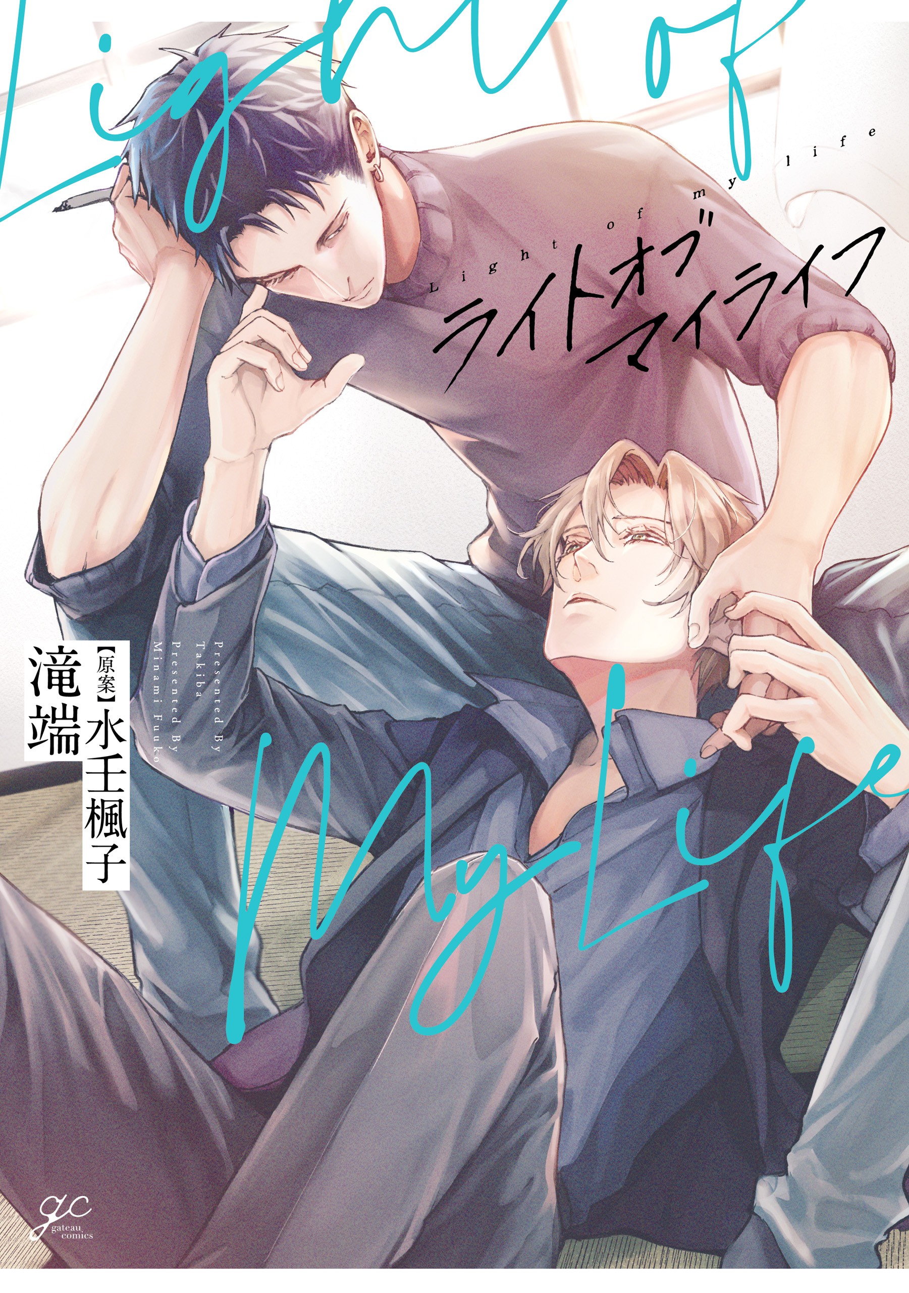 Light of My Life manga cover