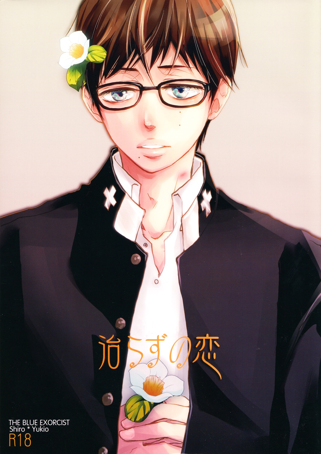 Ao no Exorcist - Naorazu no Koi (Doujinshi) manga cover