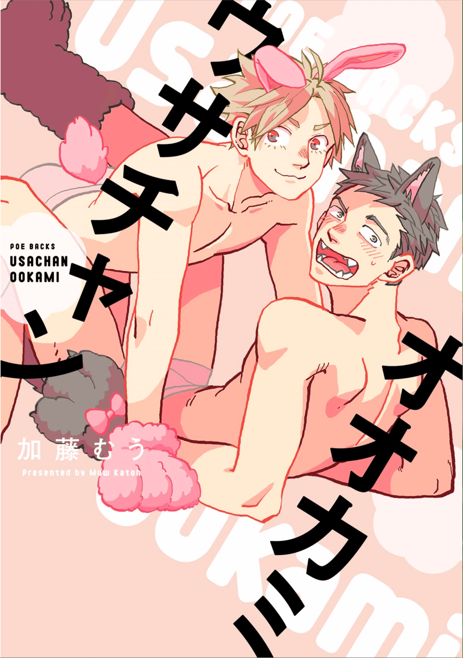 Usachan Ookami manga cover