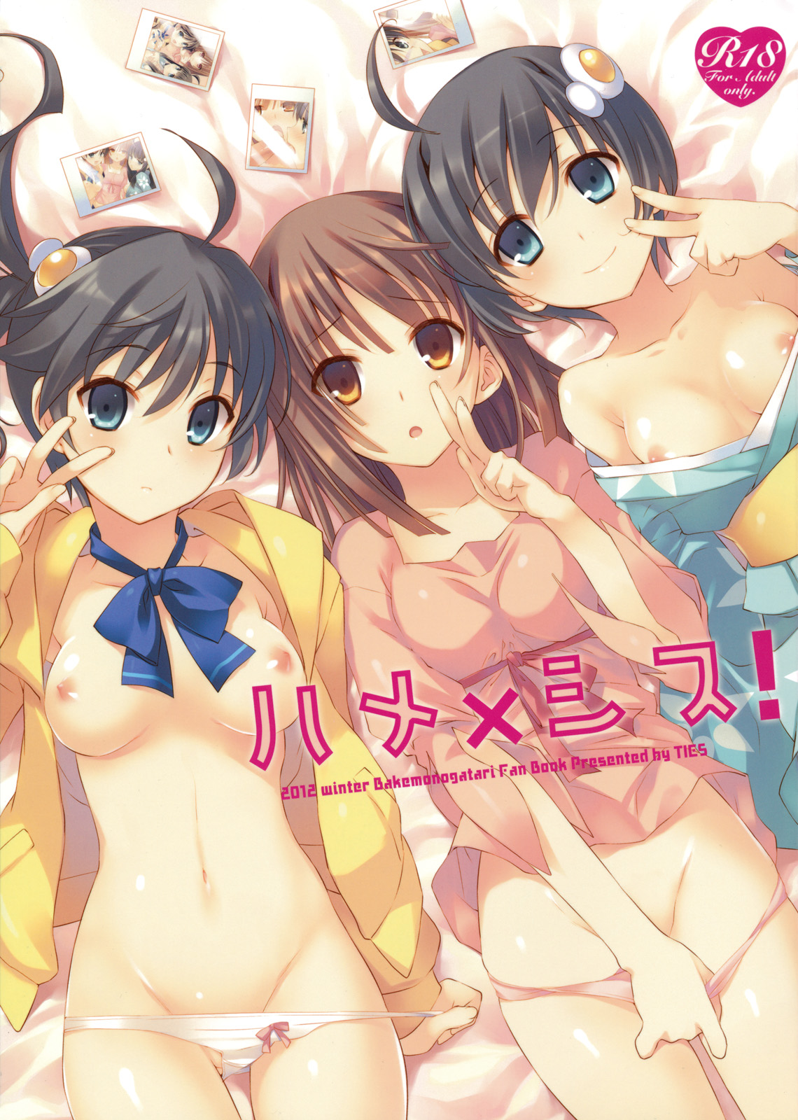 Bakemonogatari - Hame x Sis (Doujinshi) manga cover