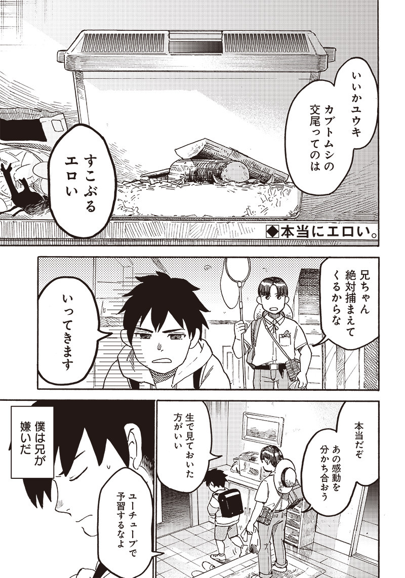 Kabutomushi to Nii-chan manga cover