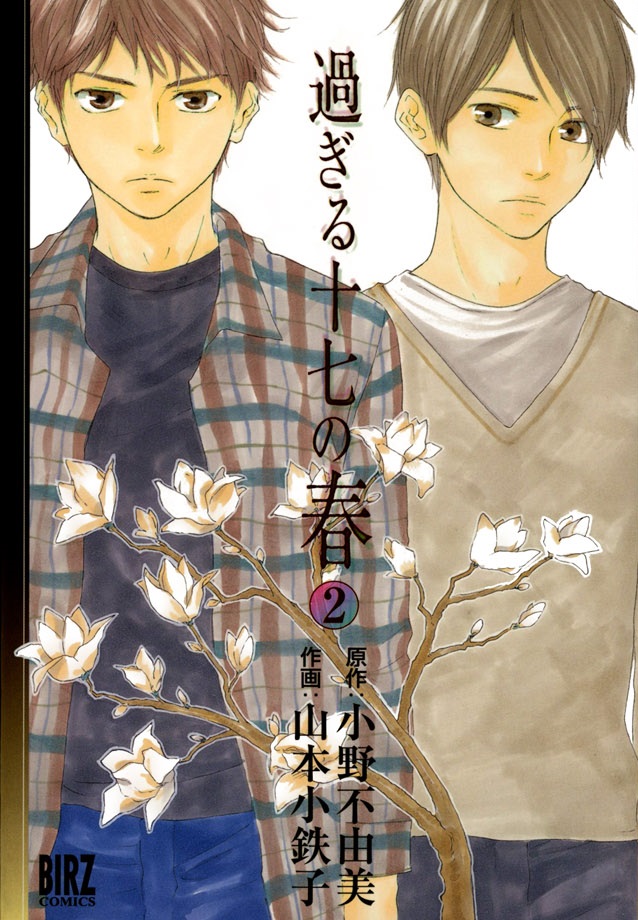 My 17th Spring manga cover