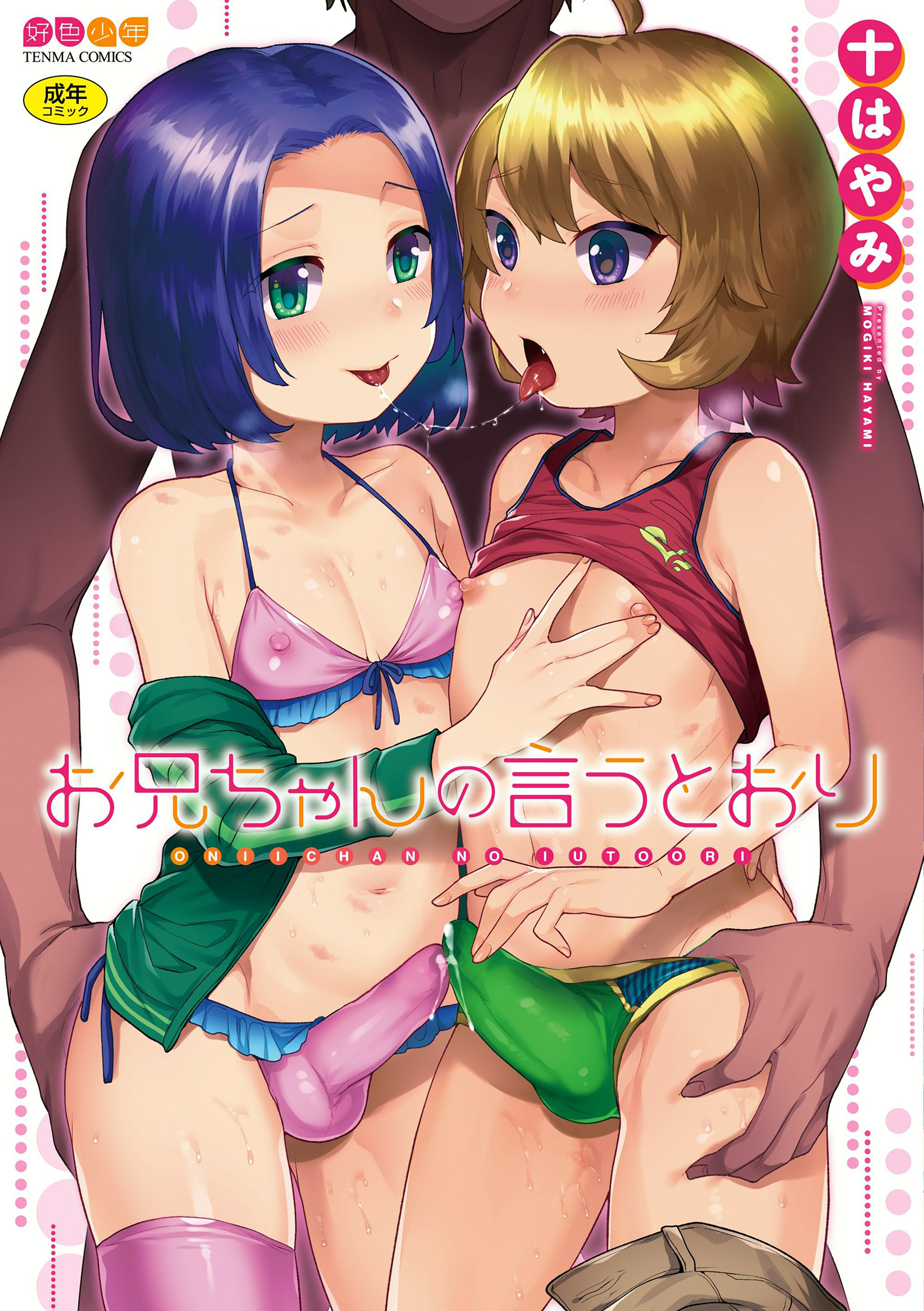 Onii-chan no Iu Toori manga cover
