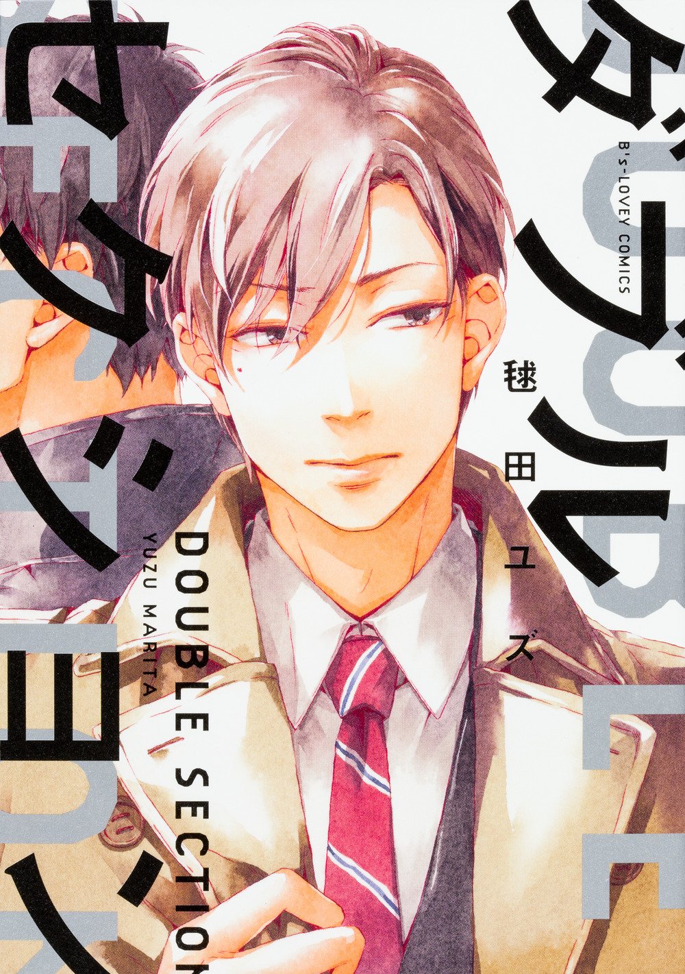 Double Section manga cover