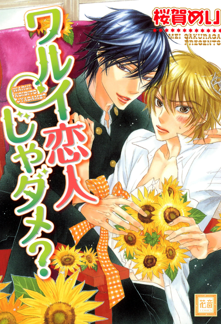 Warui Koibito ja Dame? manga cover
