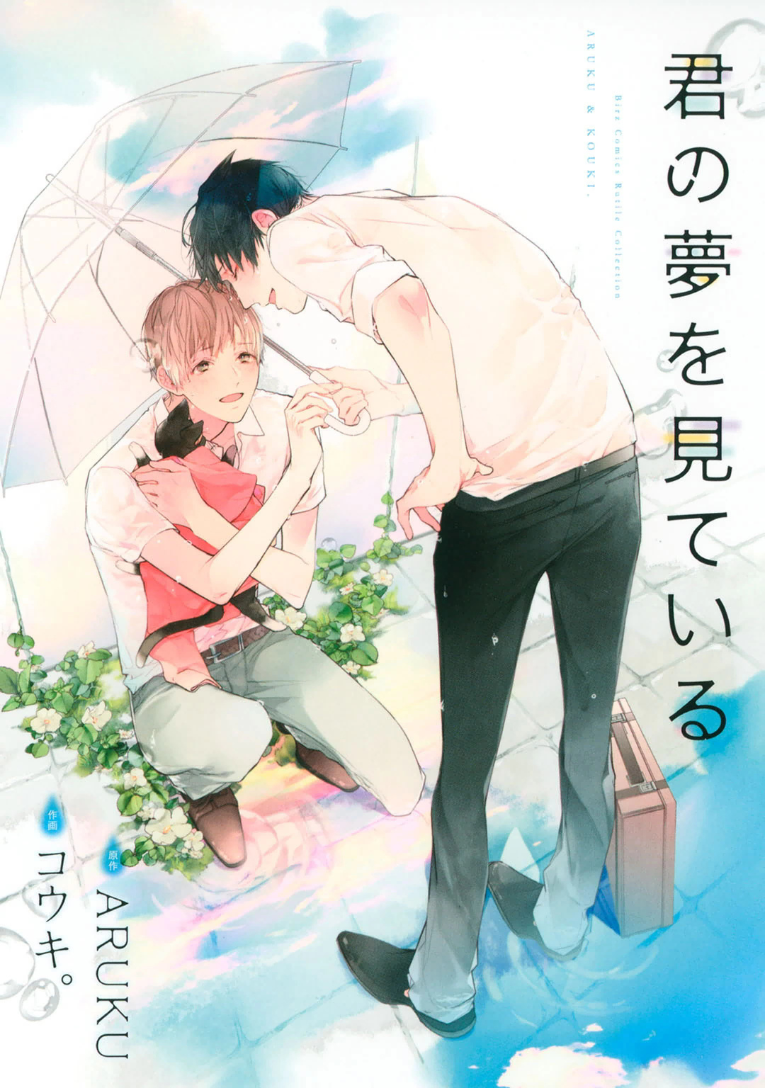 Kimi no Yume o Mite Iru manga cover