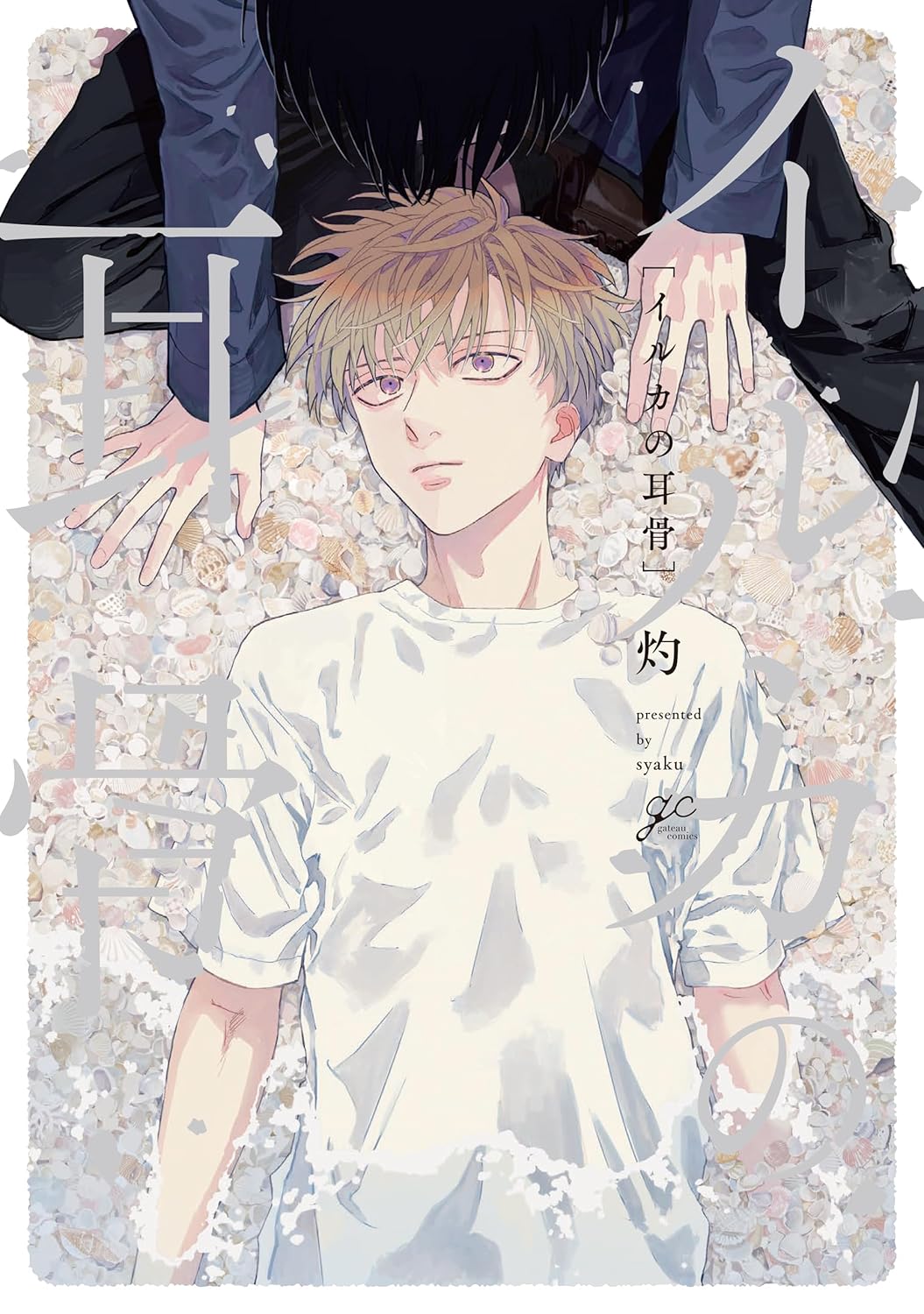 Iruka no Jikotsu manga cover