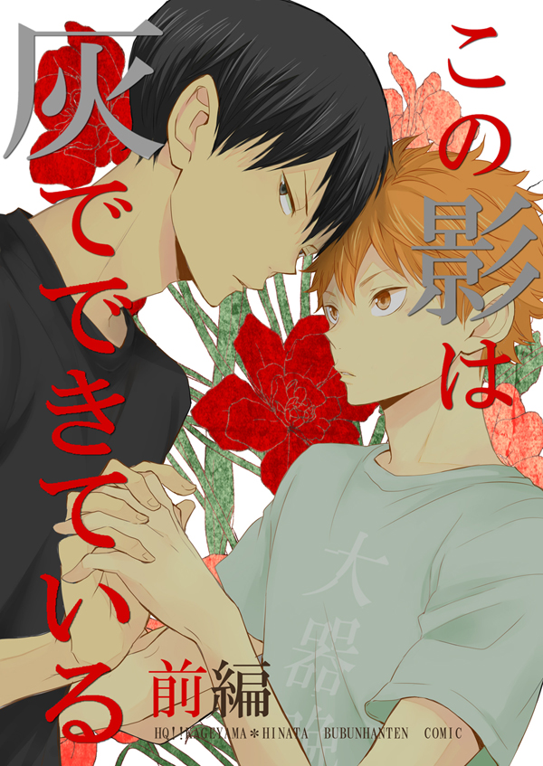 Haikyuu!! - This Shadow is Made of Ashes (Doujinshi) manga cover