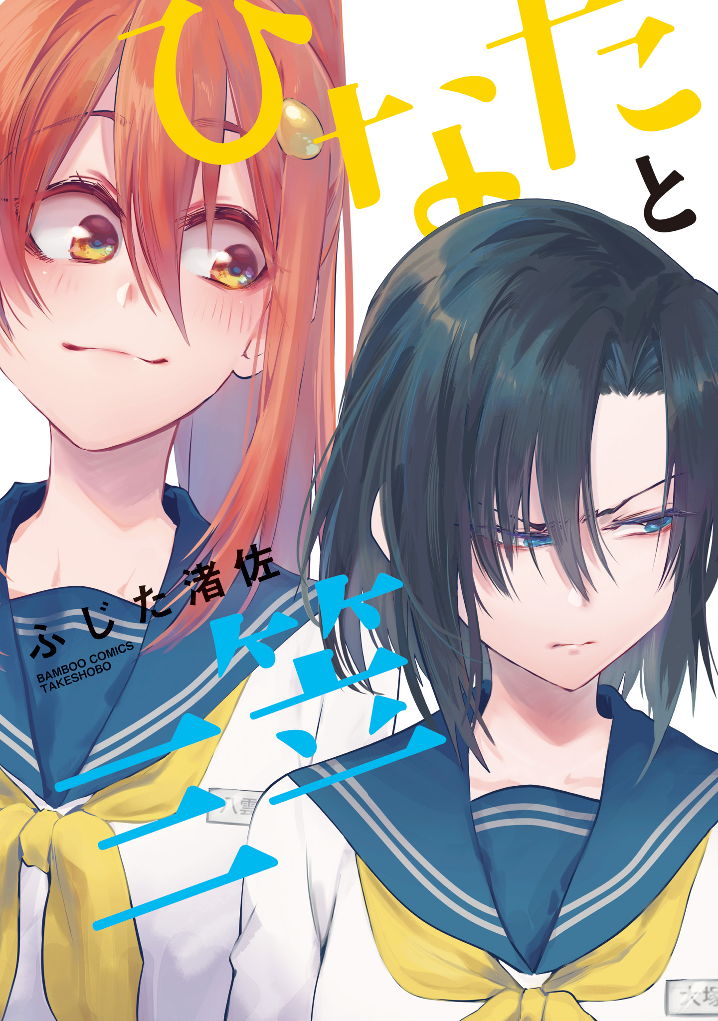 Hinata and Mikasa manga cover