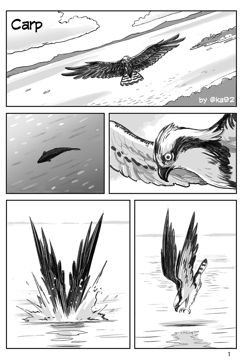 Carp manga cover