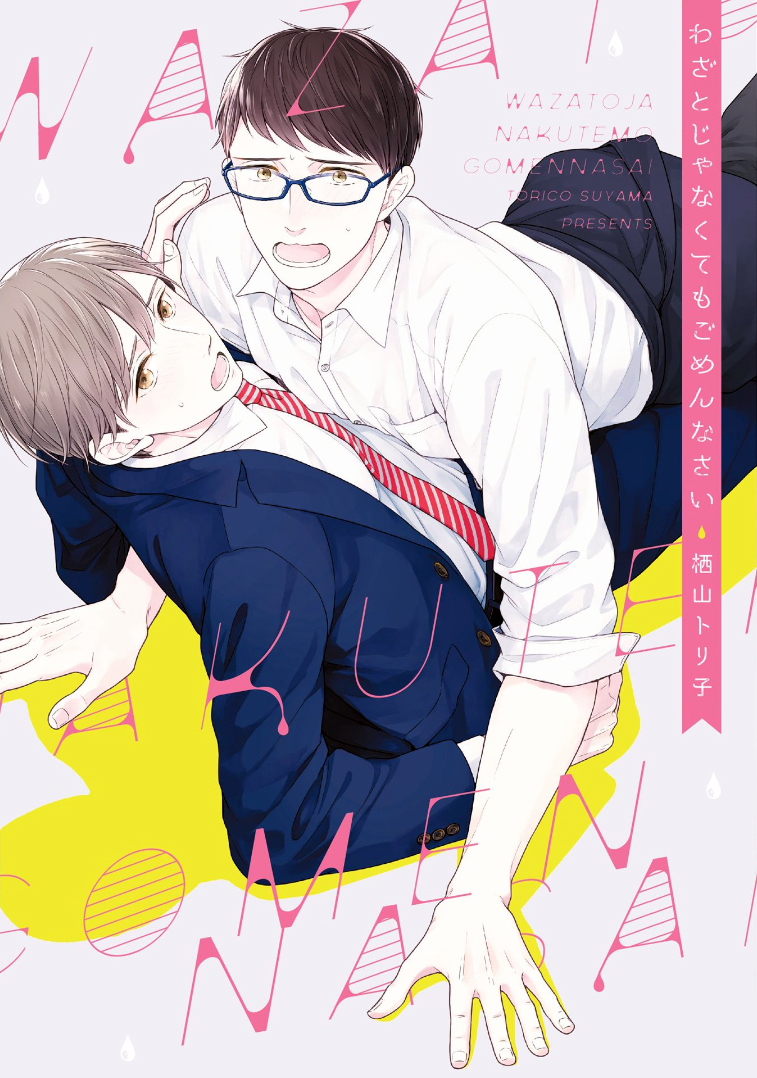 Wazato Janakute mo Gomennasai manga cover